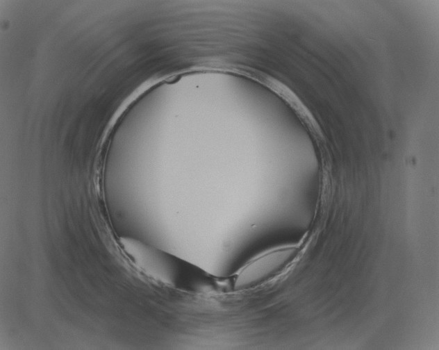 X0000081420908200702092131