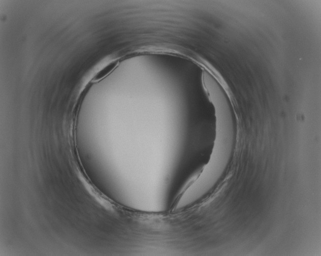 X0000081420909200702092130