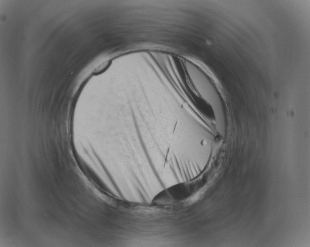 X0000081420910200702092130