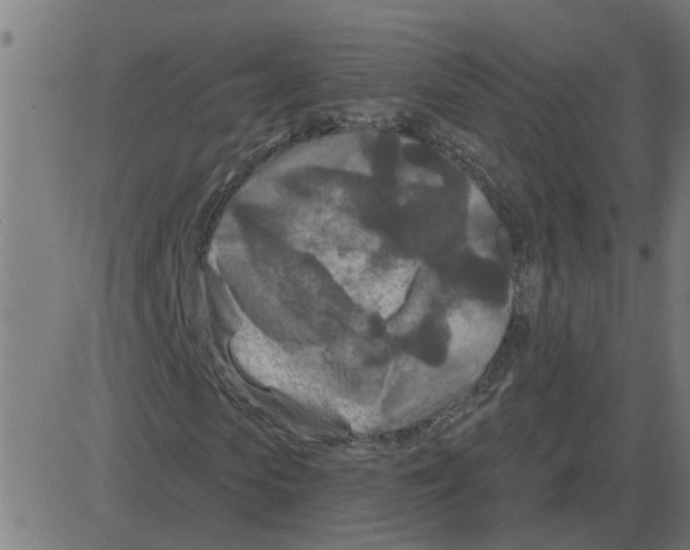 X0000081420913200702092130