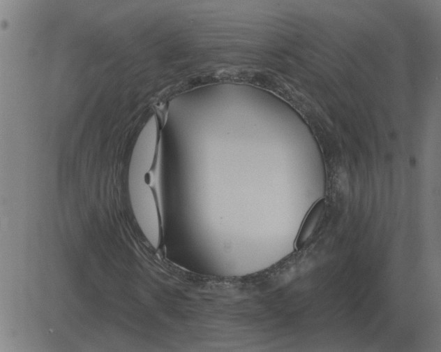 X0000081420914200702092130