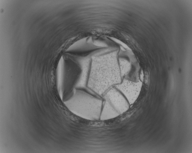 X0000081420915200702092130