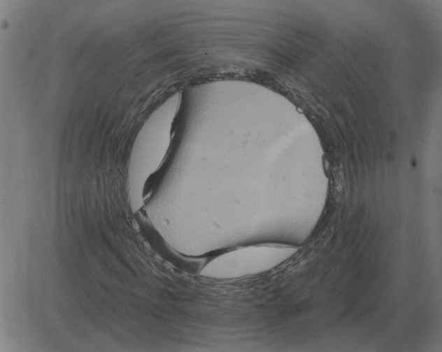 X0000081420916200702092130