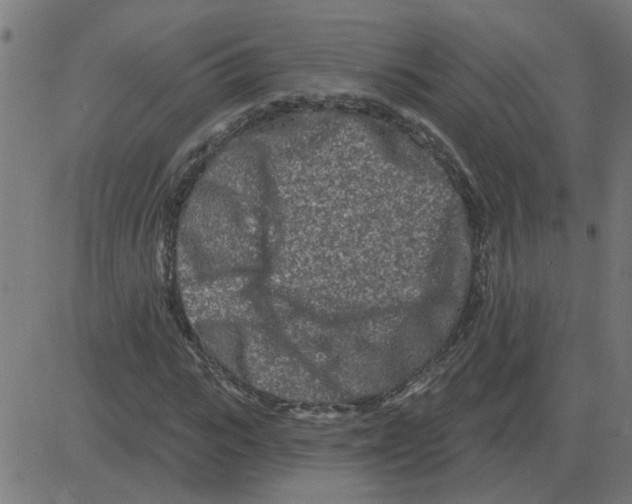 X0000081420919200702092130