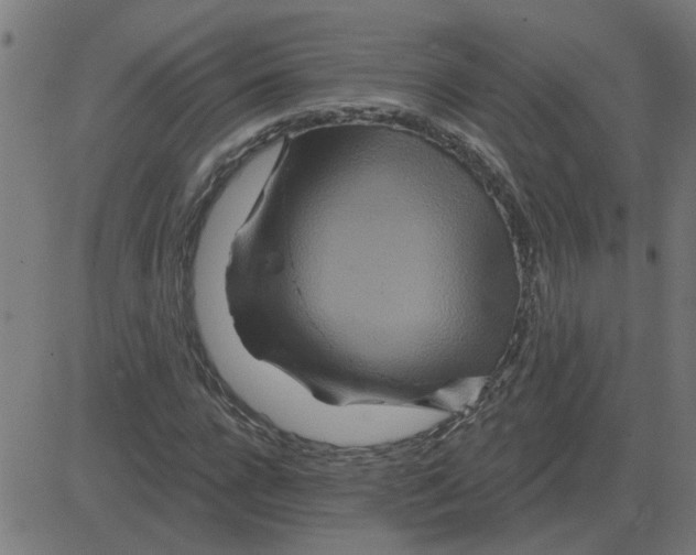 X0000081420920200702092130