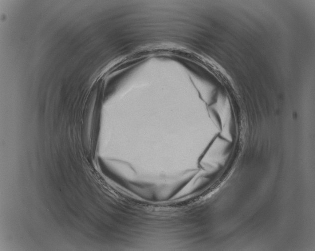 X0000081420921200702092130