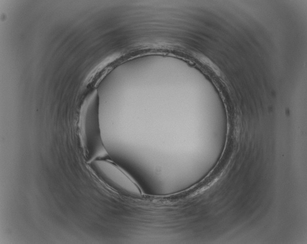 X0000081420922200702092130