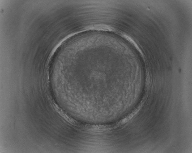 X0000081420923200702092130