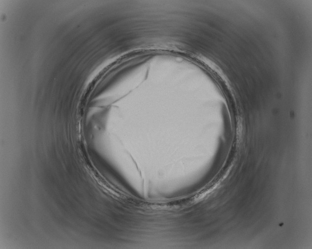 X0000081420925200702092130