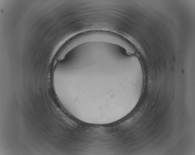 X0000081420926200702092130