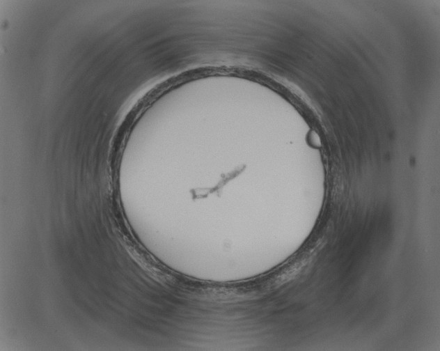 X0000081420927200702092130