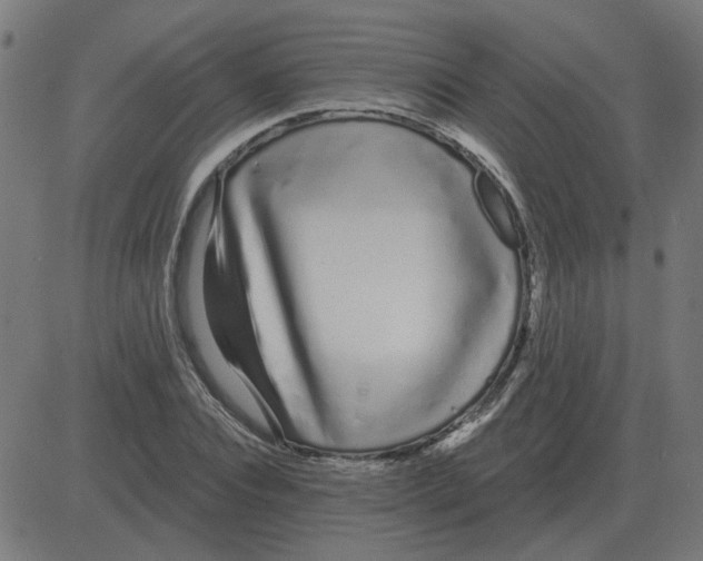 X0000081420928200702092130