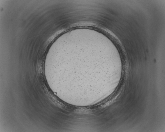 X0000081420929200702092130