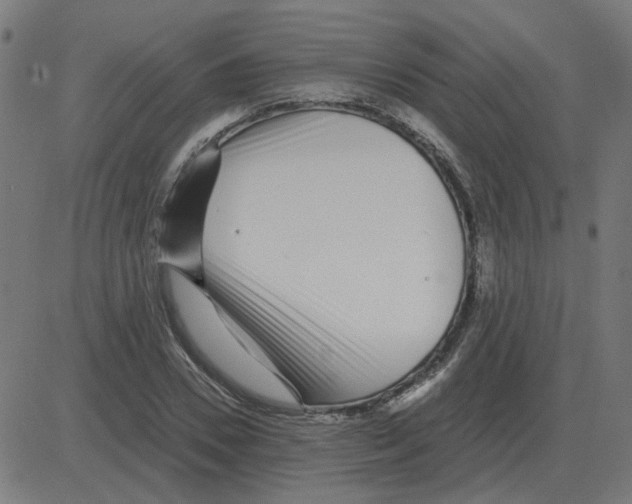 X0000081420930200702092130