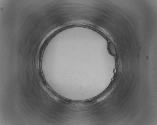 X0000081420931200702092130