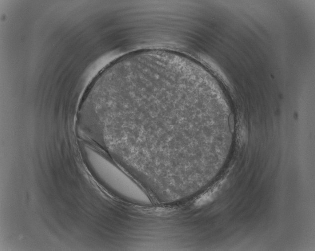 X0000081420932200702092130