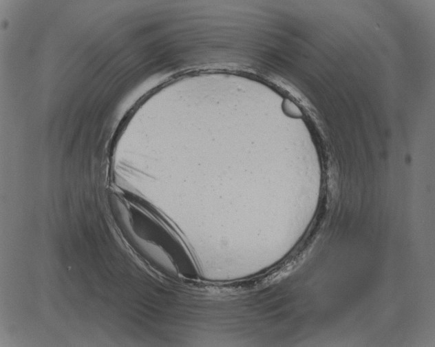 X0000081420933200702092130