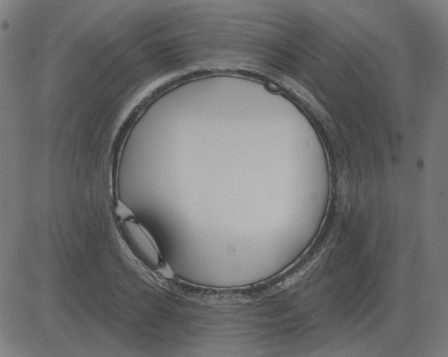 X0000081420934200702092130