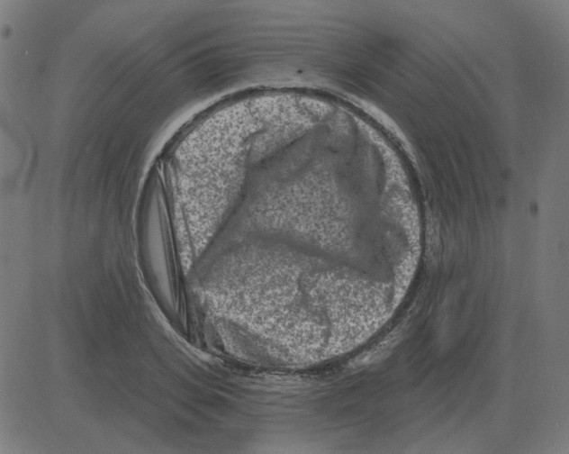 X0000081420935200702092130