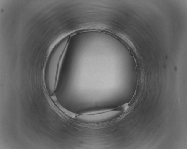 X0000081420936200702092130