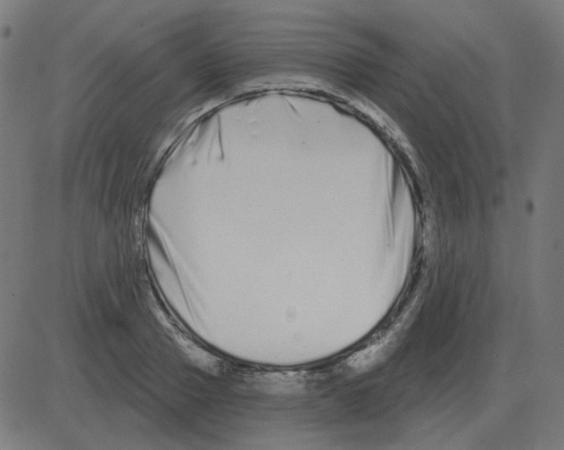 X0000081420937200702092130