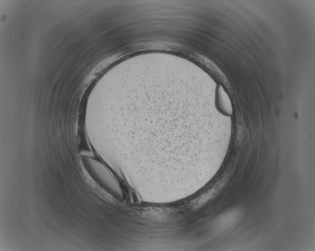 X0000081420938200702092130