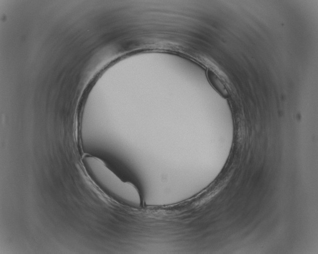 X0000081420940200702092130