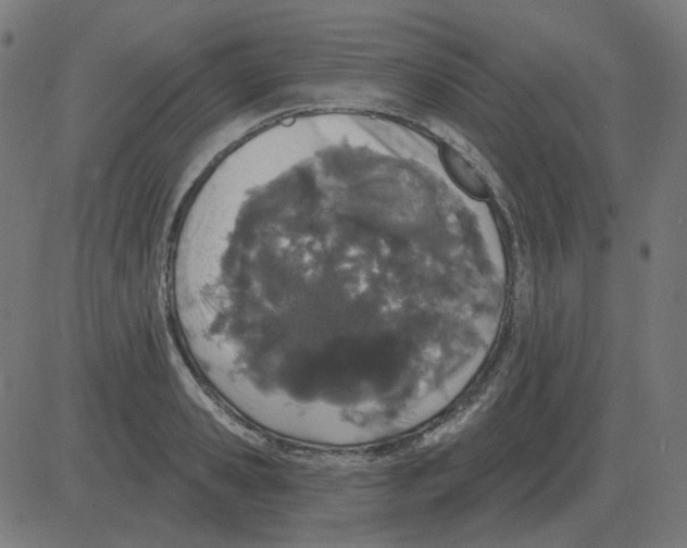 X0000081420941200702092130