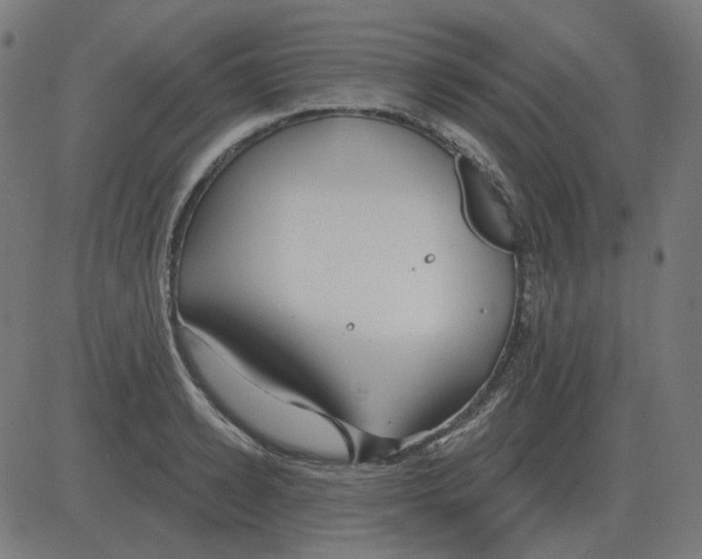 X0000081420942200702092130