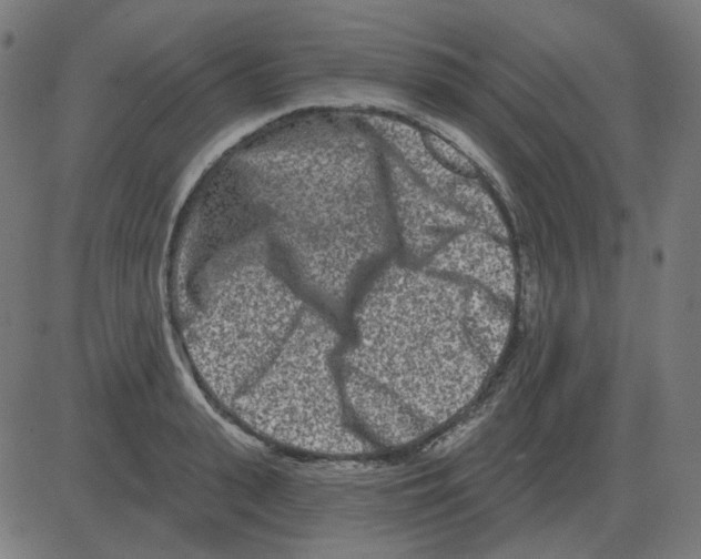 X0000081420943200702092130