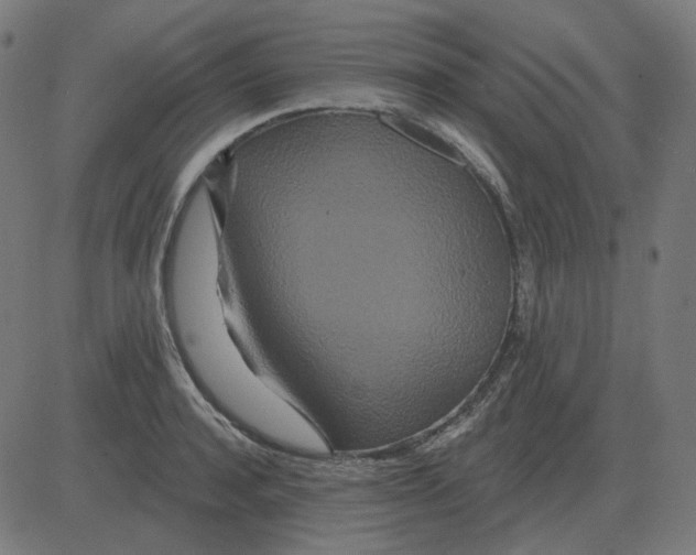 X0000081420944200702092130