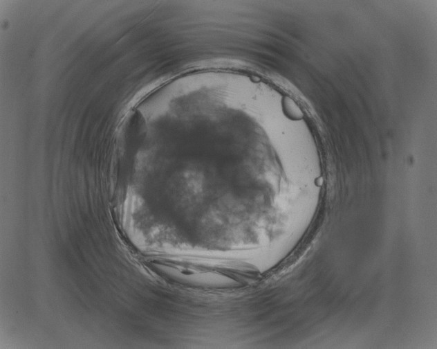 X0000081420945200702092130