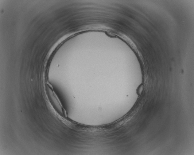 X0000081420947200702092130