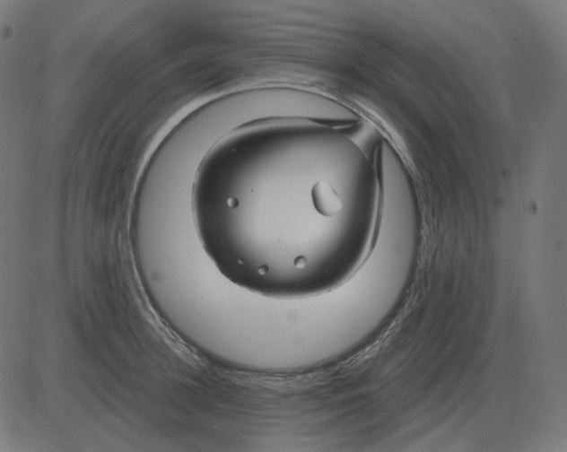 X0000081420948200702092130