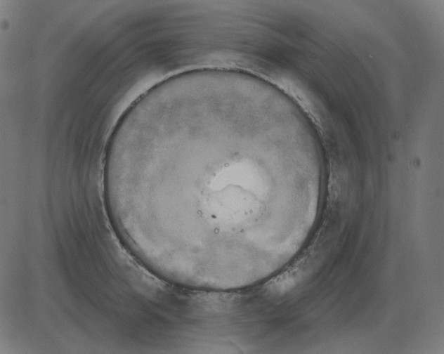 X0000081420950200702092130