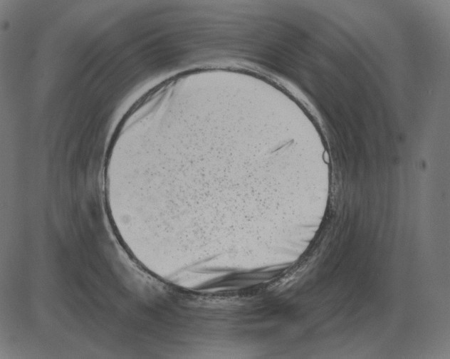 X0000081420951200702092130