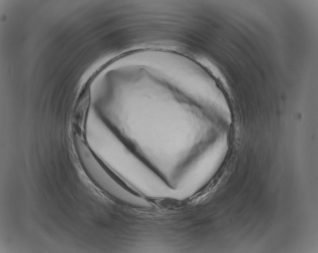 X0000081420952200702092130