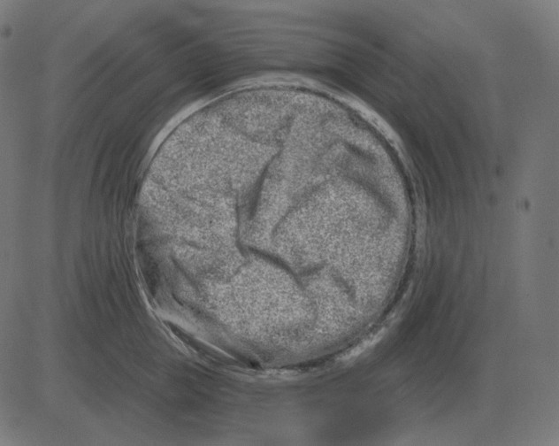 X0000081420953200702092130