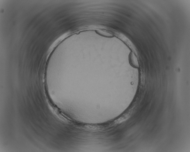 X0000081420954200702092130