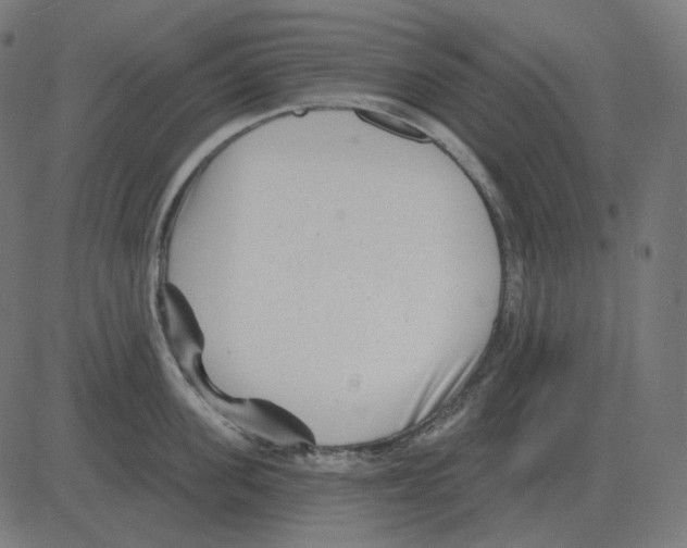 X0000081420955200702092130