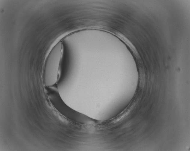 X0000081420956200702092130