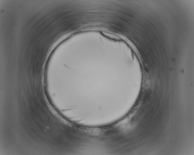 X0000081420957200702092130