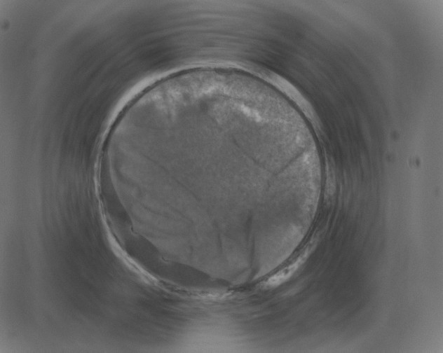 X0000081420958200702092130