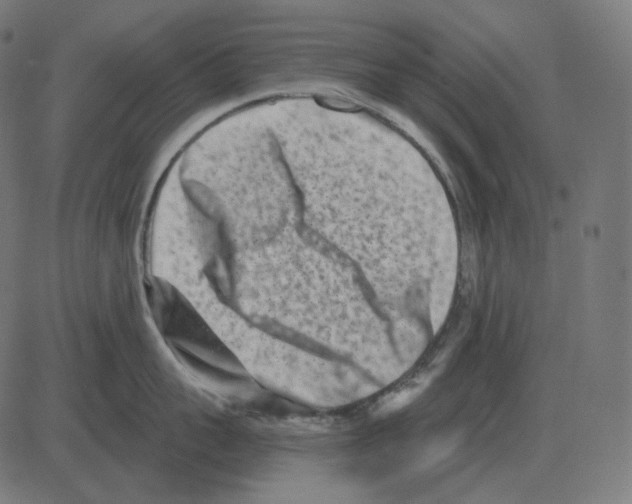 X0000081420959200702092130