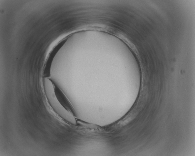 X0000081420960200702092130