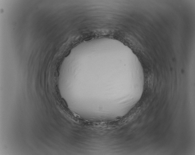 X0000081420961200702092130