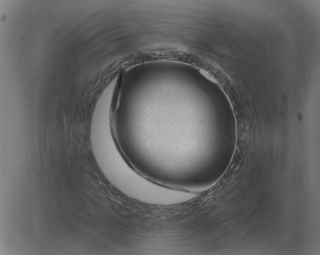 X0000081420965200702092130