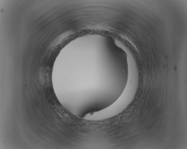 X0000081420968200702092130