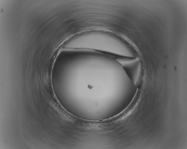 X0000081420969200702092130