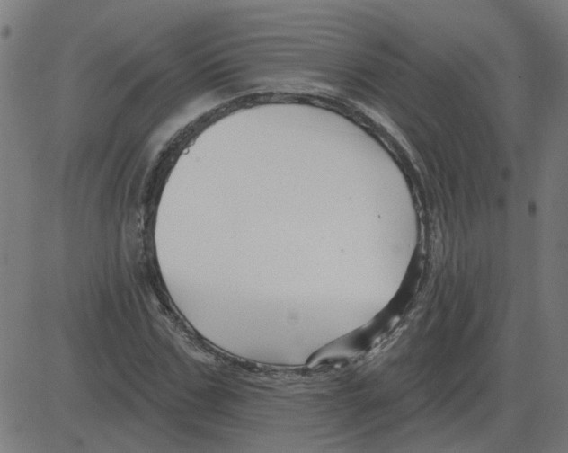 X0000081420971200702092129